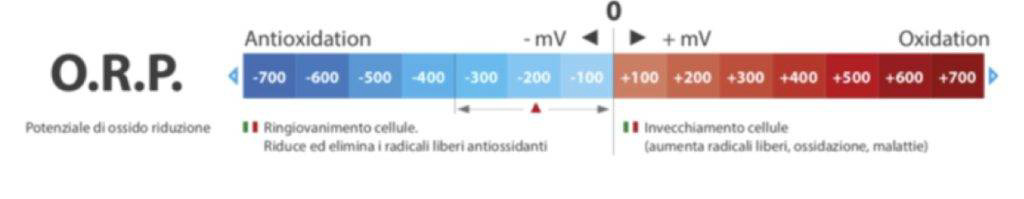 Oxidation Reduction Potential