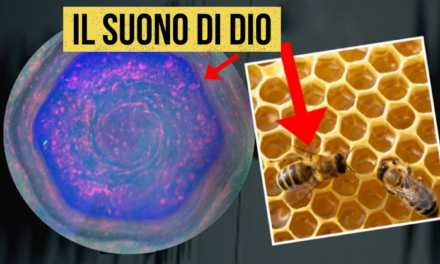 Il suono che trasforma ogni cellula nel tuo corpo (Il suono di Dio)